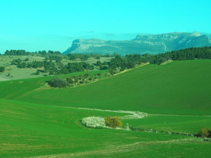 Andalusia in winter